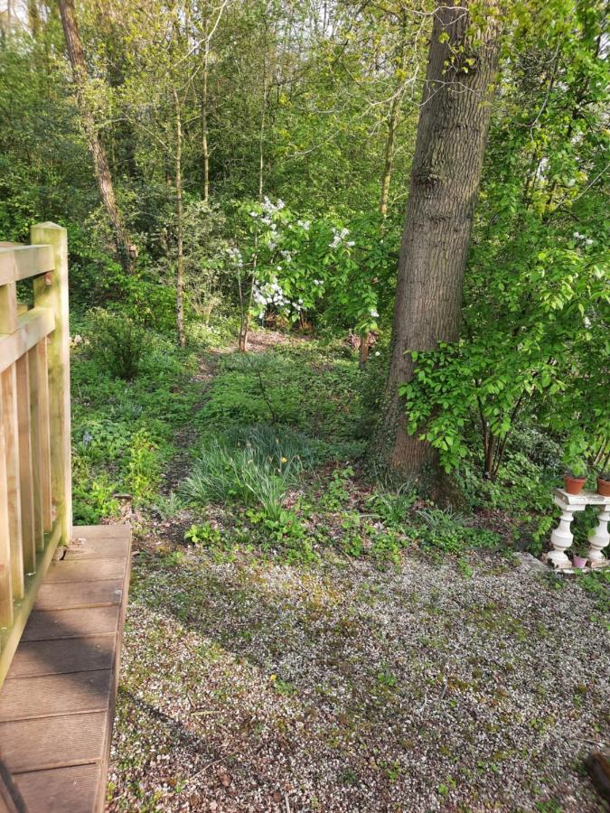 Scottish Wood Lodge Ypres Zewnętrze zdjęcie