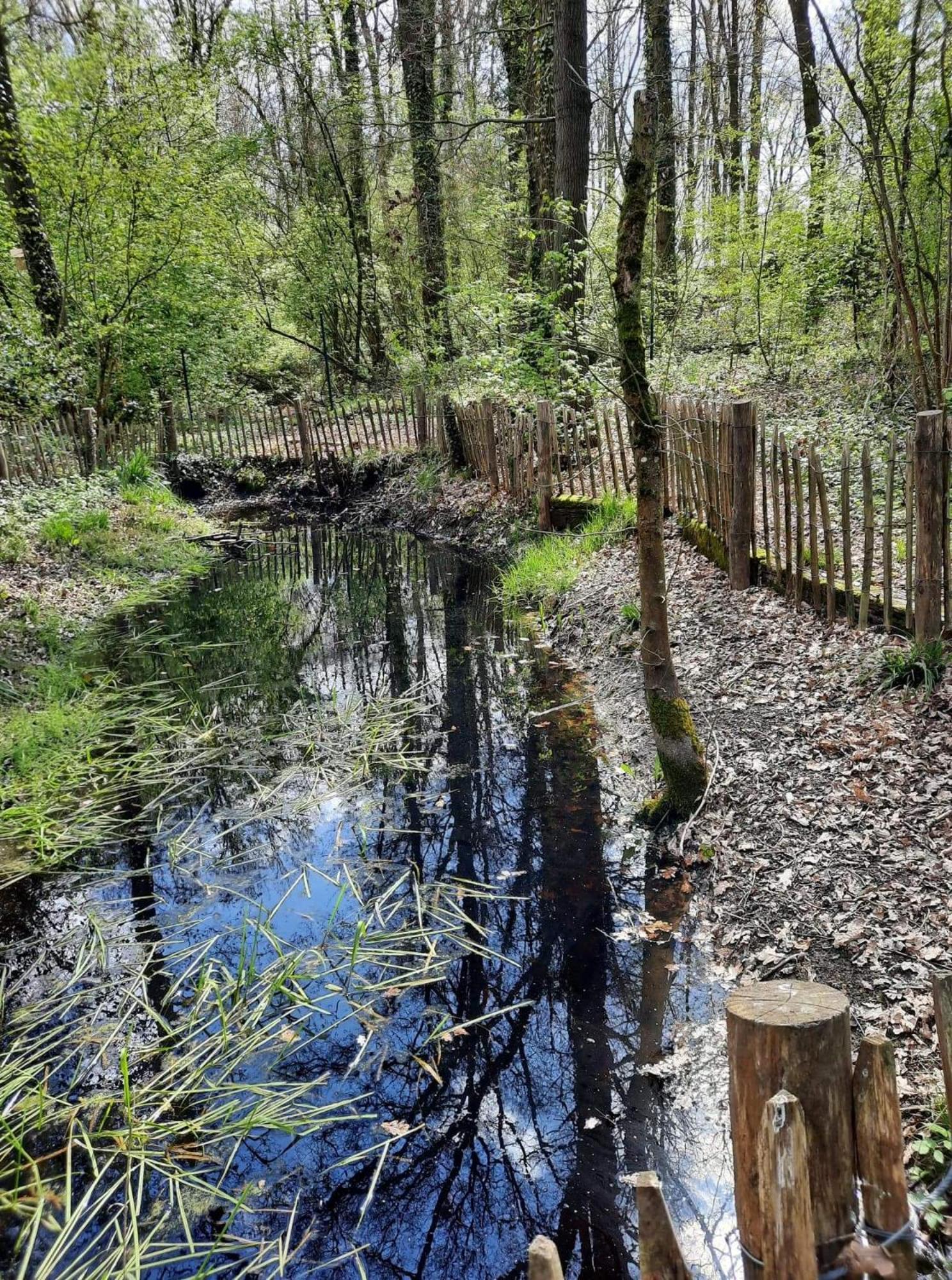 Scottish Wood Lodge Ypres Pokój zdjęcie